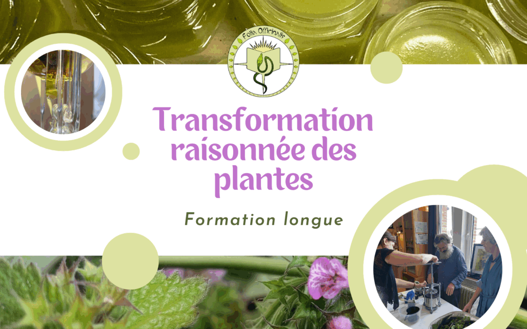 Jour 7 – Formation « Transformation raisonnée des plantes » 25-26 – groupe du samedi