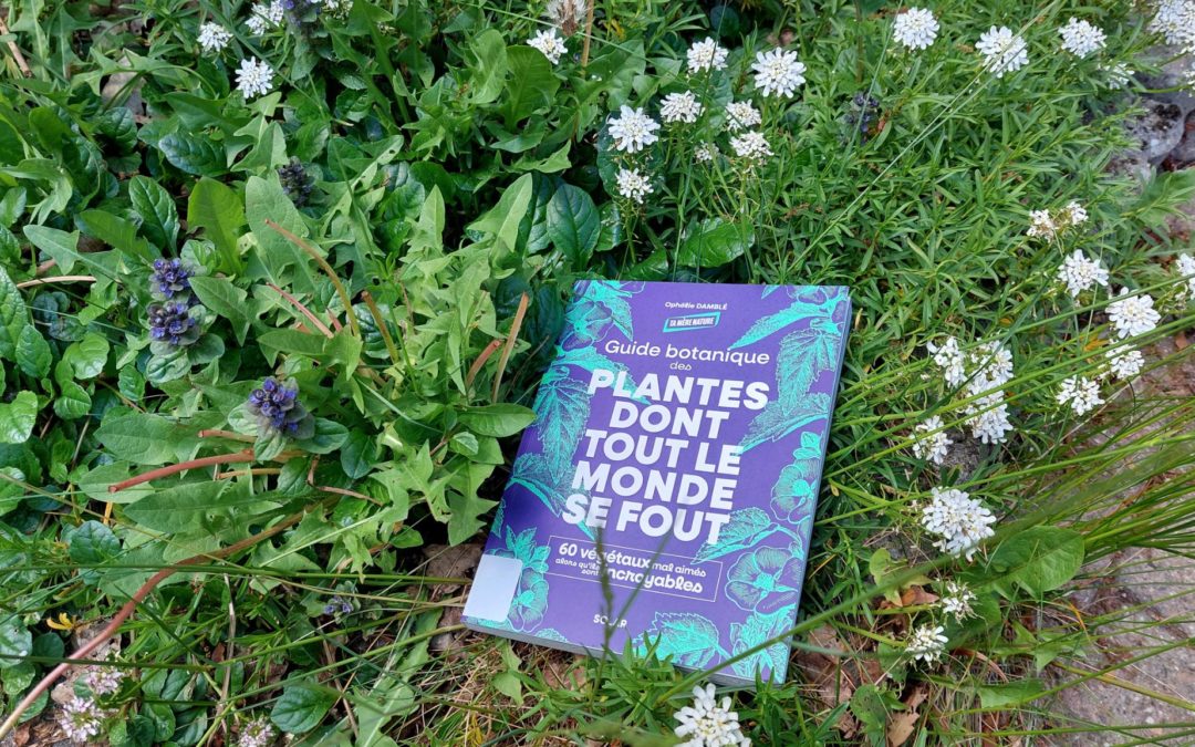 Lecture : Le « Guide botanique des plantes dont tout le monde se fout » d’Ophélie Damblé