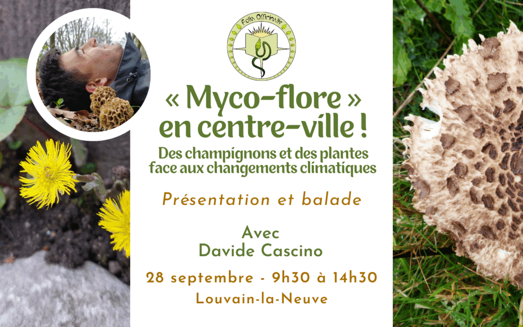 « Myco-flore » en centre-ville ! Des champignons et des plantes face aux changements climatiques !