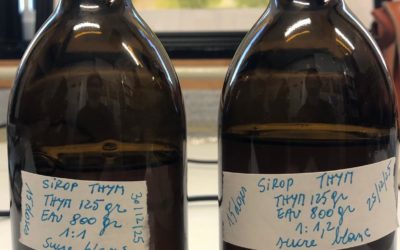 Entre ruisseau et diamant : l’équilibre du sirop.